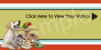 CoVideo Video Email Email Icon