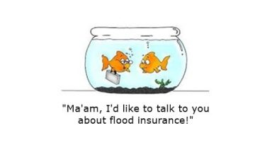 insurance_funny_quote